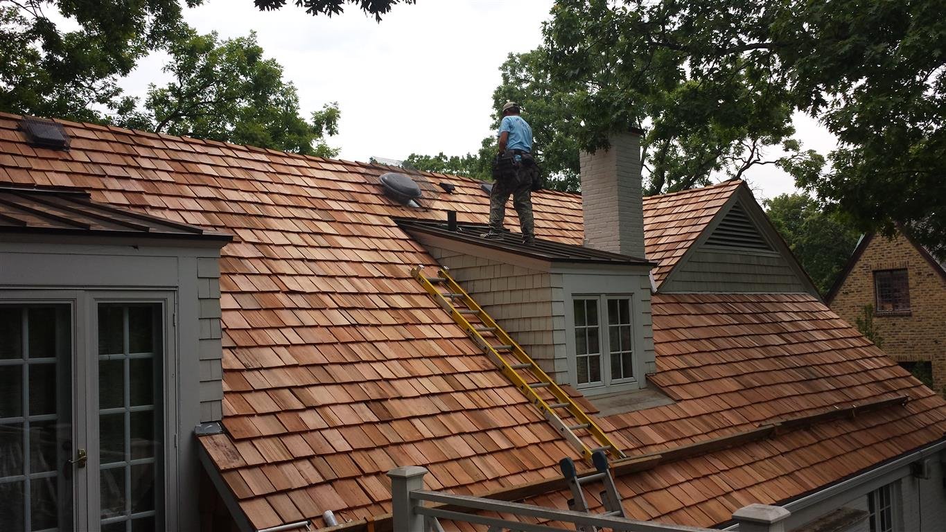 Cedar roof maintenance is crucial when curling is present