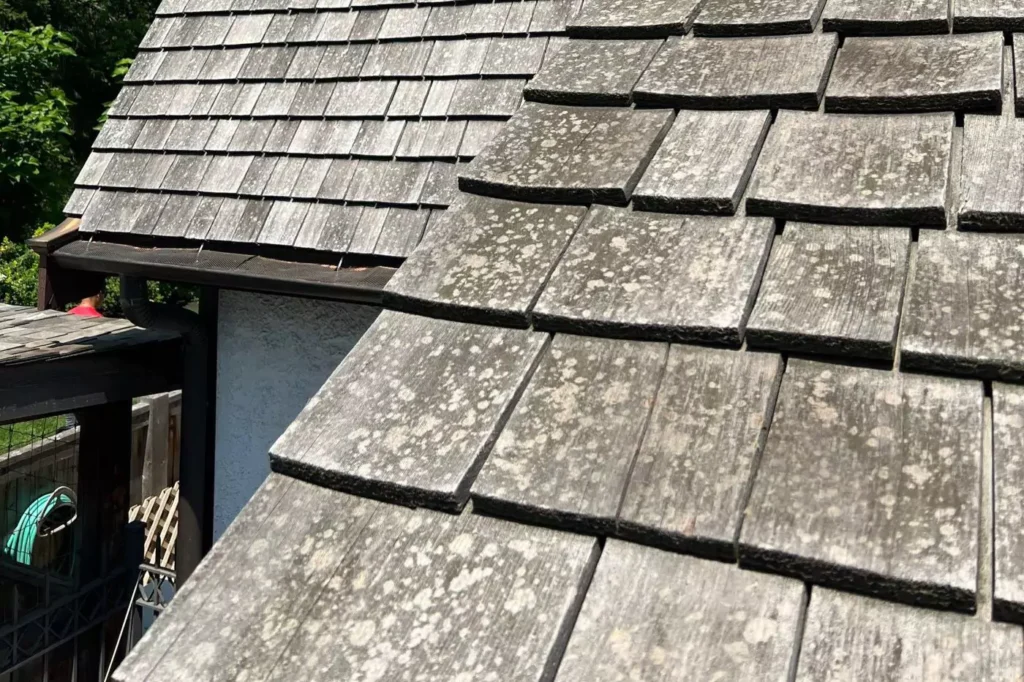 When Is It Necessary To Replace a Cedar Roof? cedar shakes damaged by hail