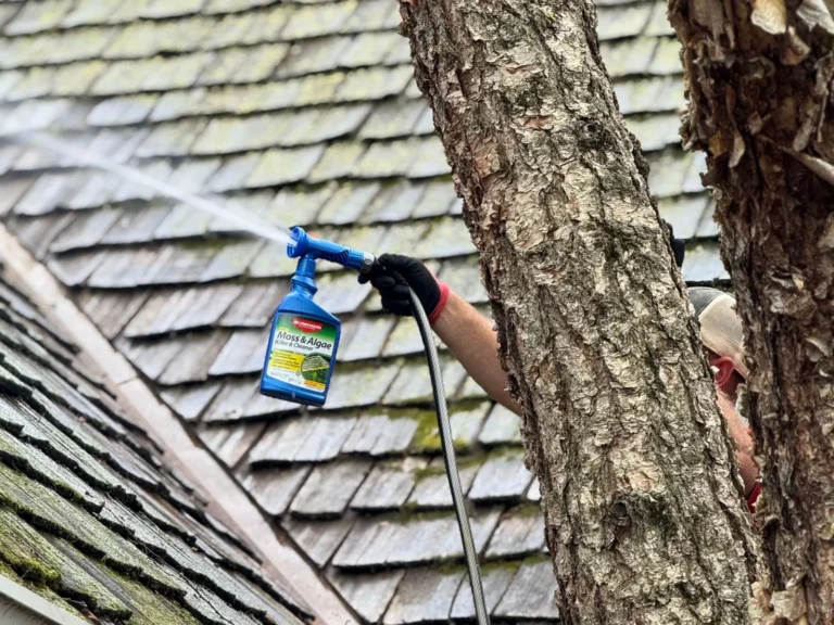 things to do in order to prolong the cedar roof lifespan